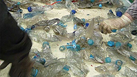 PET BOTTLE2.jpg
