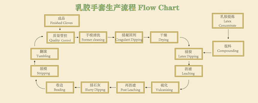乳胶手套生产流程1.jpg